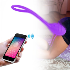 Little Swan App Controlled