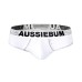 Enlarge 2.0 Brief White