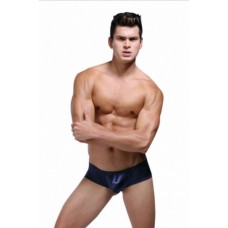 Sexy Royal Blue Underwear