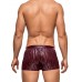 Dazzle Short - Burgandy
