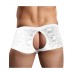 Stretch Lace Double Pleasure Short - White