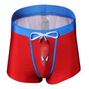 Spiderman Swimwear