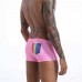 Pink Boxer with Tribal Print and Rainbow Flag 
