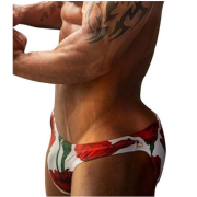Red Roses Brief Swimwear 