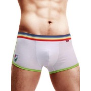 White Boxer with color band