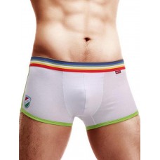 White Boxer with color band