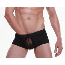 Sexy Front see through